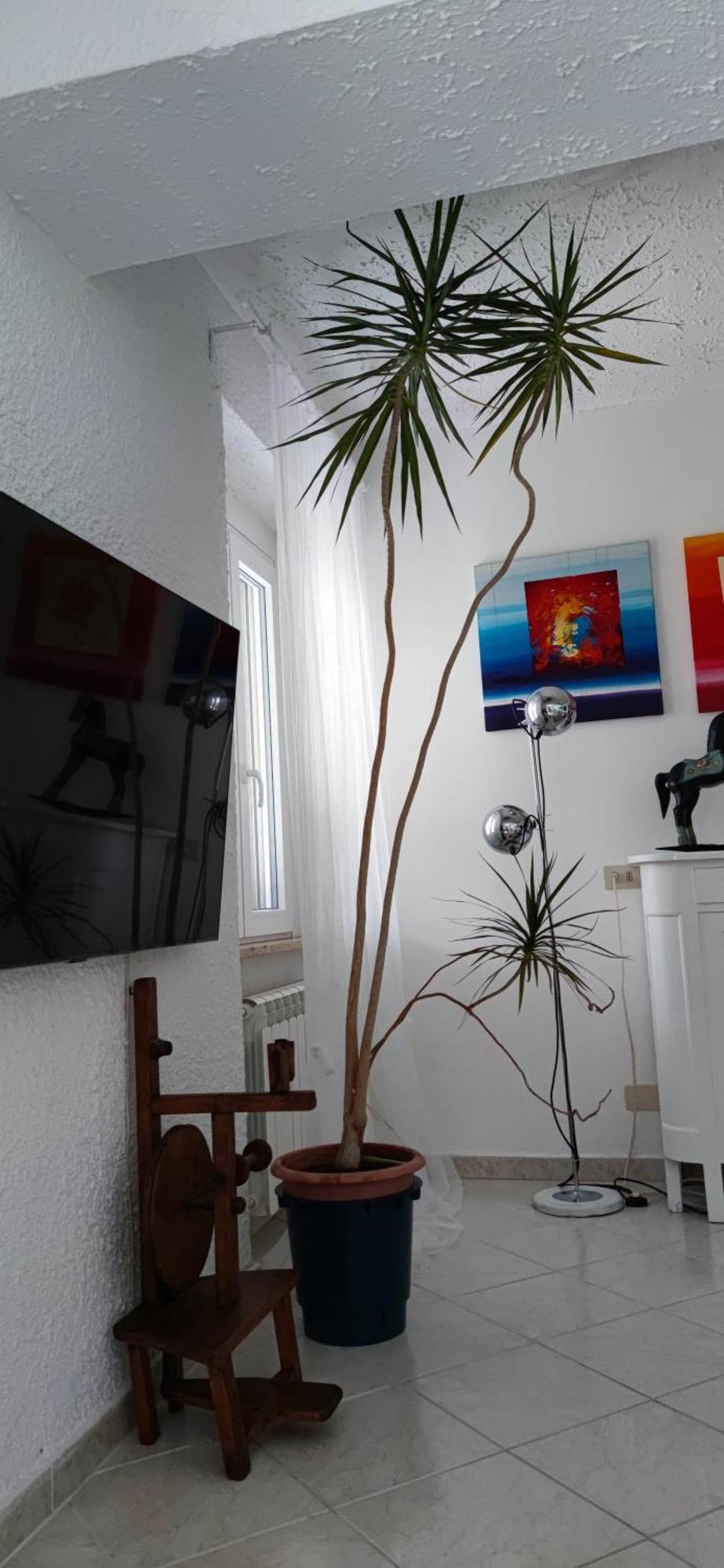 Apartmán Residenza Bertolini Fosdinovo Exteriér fotografie